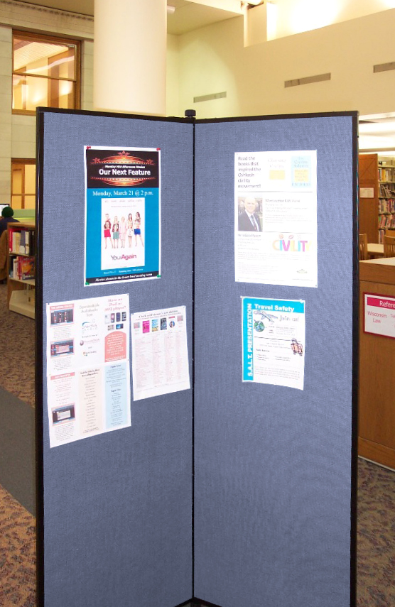 Flyers on display at a library