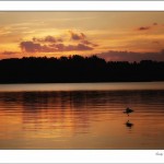 Golden sunset across the lake in North Woods Wisconsin