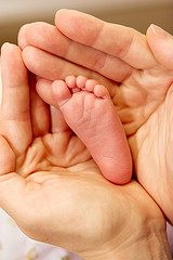 baby foot